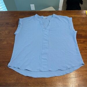 Jolie & Joy Light Blue Women's Top size 3X fits like 1Xl